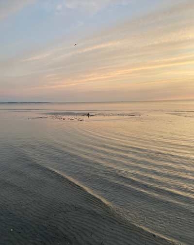 CARE BY: JOY VASILJEV